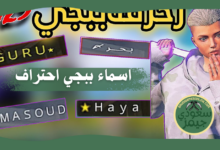 اسماء ببجي احتراف