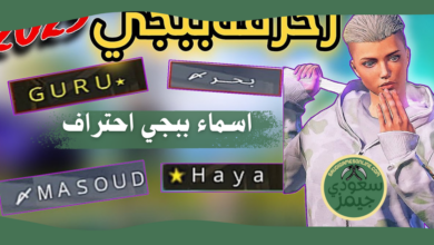 اسماء ببجي احتراف